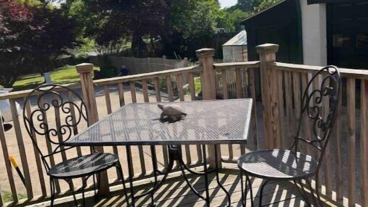 Photo of Outdoor in New Castle