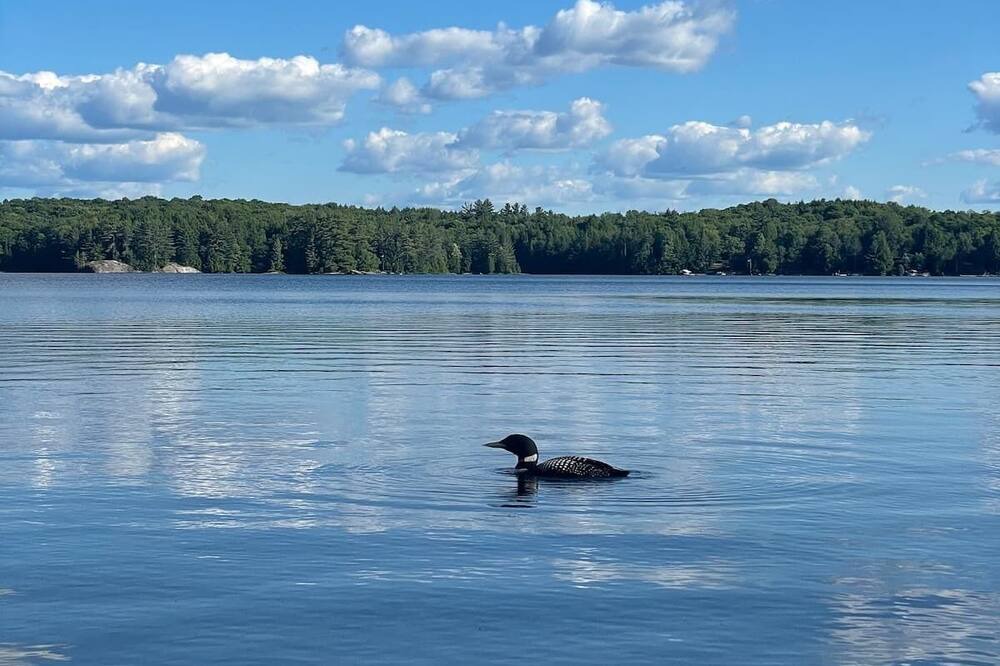 Photo of Outdoor in Irondale
