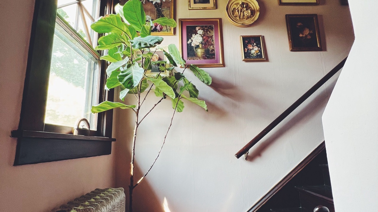 Photo of Others in Logan