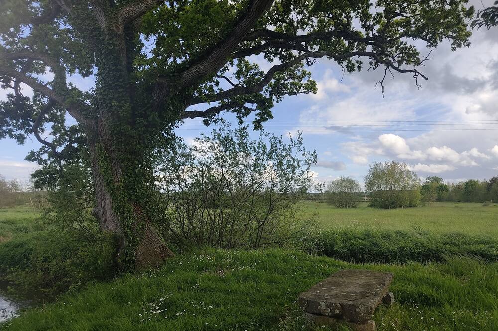 Photo of Others in Le Hommet-d'Arthenay