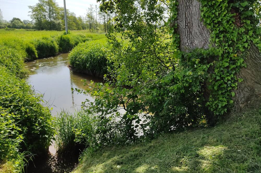 Photo of Outdoor in Le Hommet-d'Arthenay