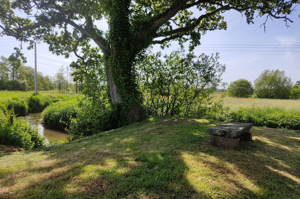 Photo of Outdoor in Le Hommet-d'Arthenay
