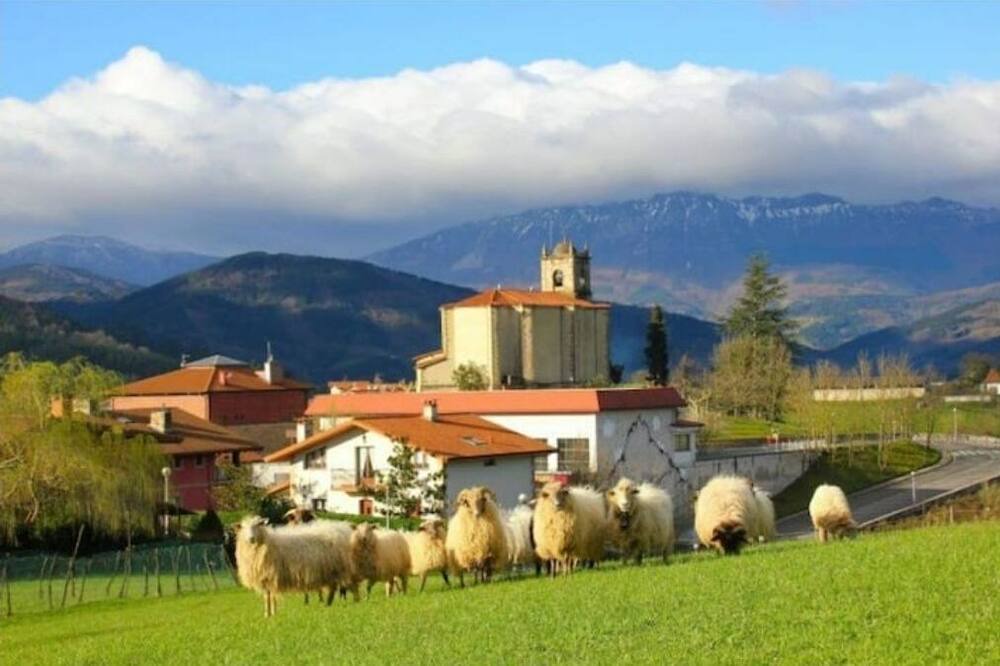 Photo of Outdoor in Olaberria