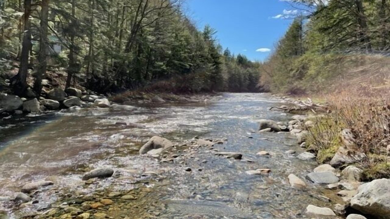 Photo of Others in Bath