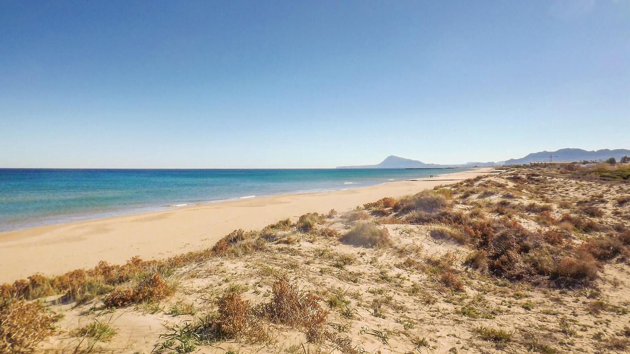 Photo of Others in Platja de Piles