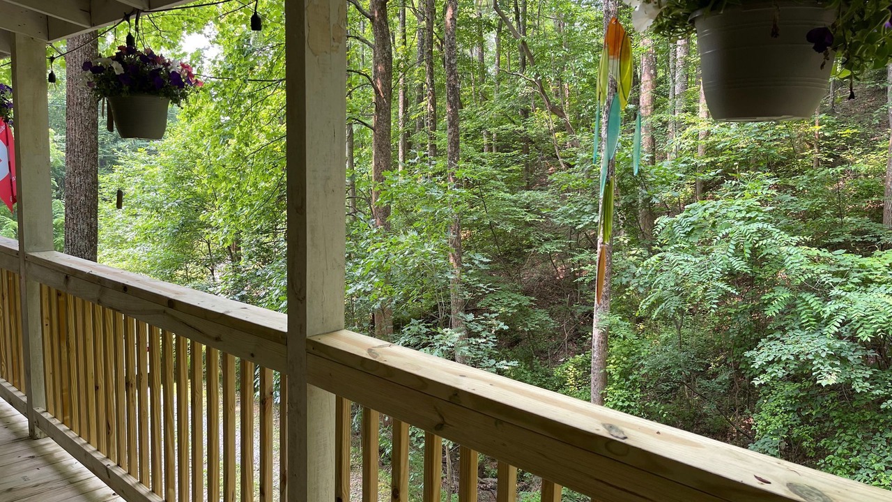 Photo of Outdoor in Fancy Gap