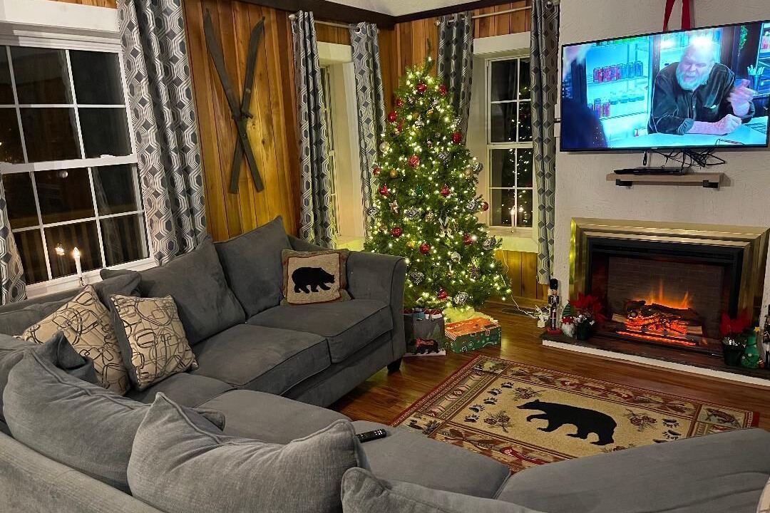 Photo of Livingroom in Fancy Gap