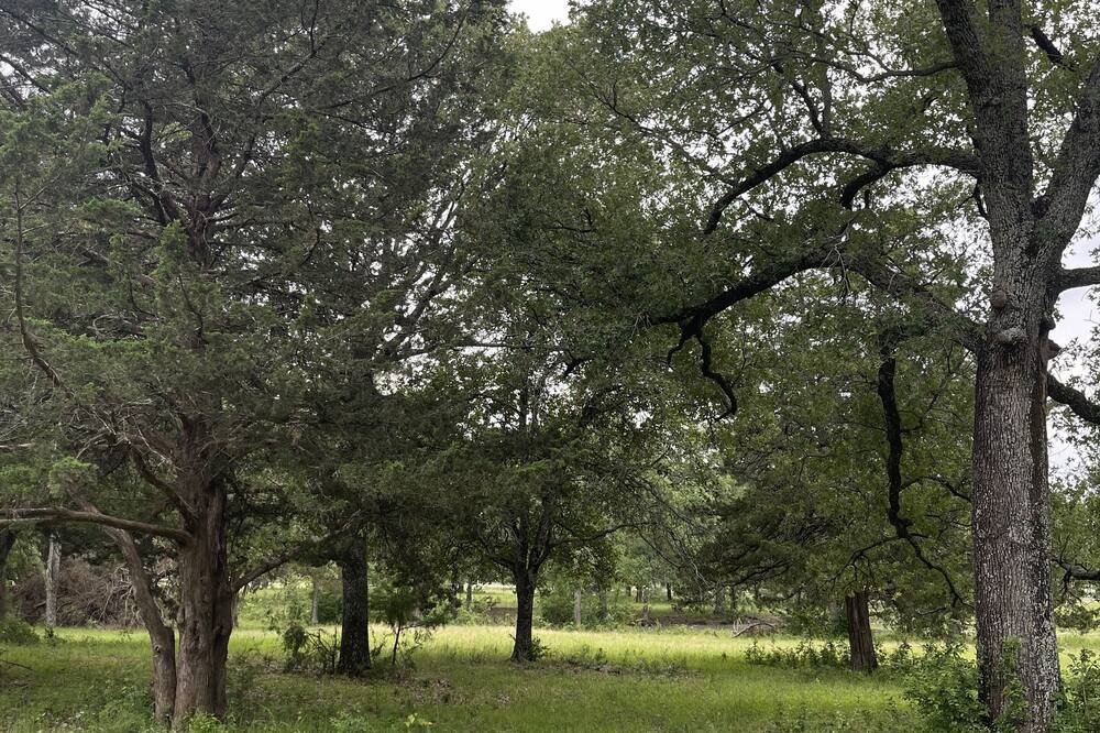Photo of Outdoor in Elmo