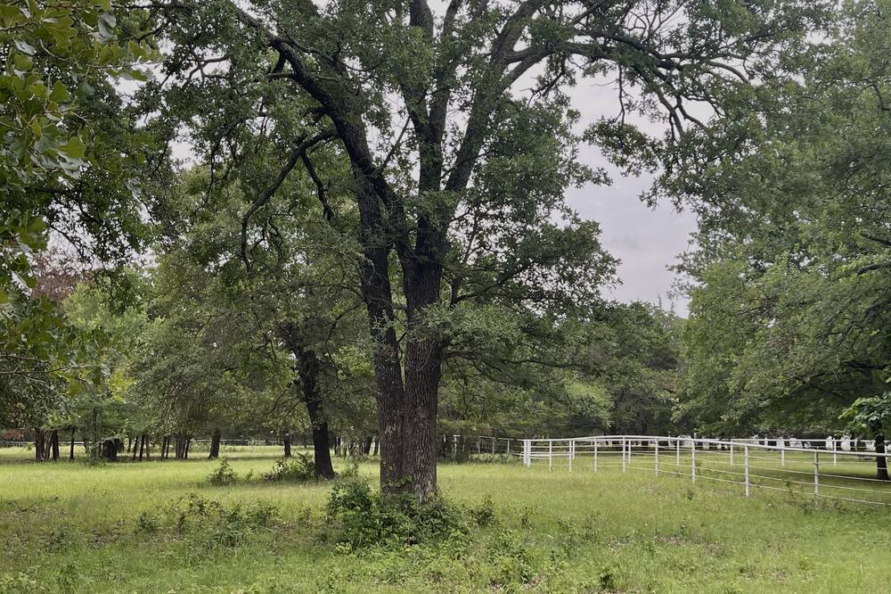 Photo of Outdoor in Elmo