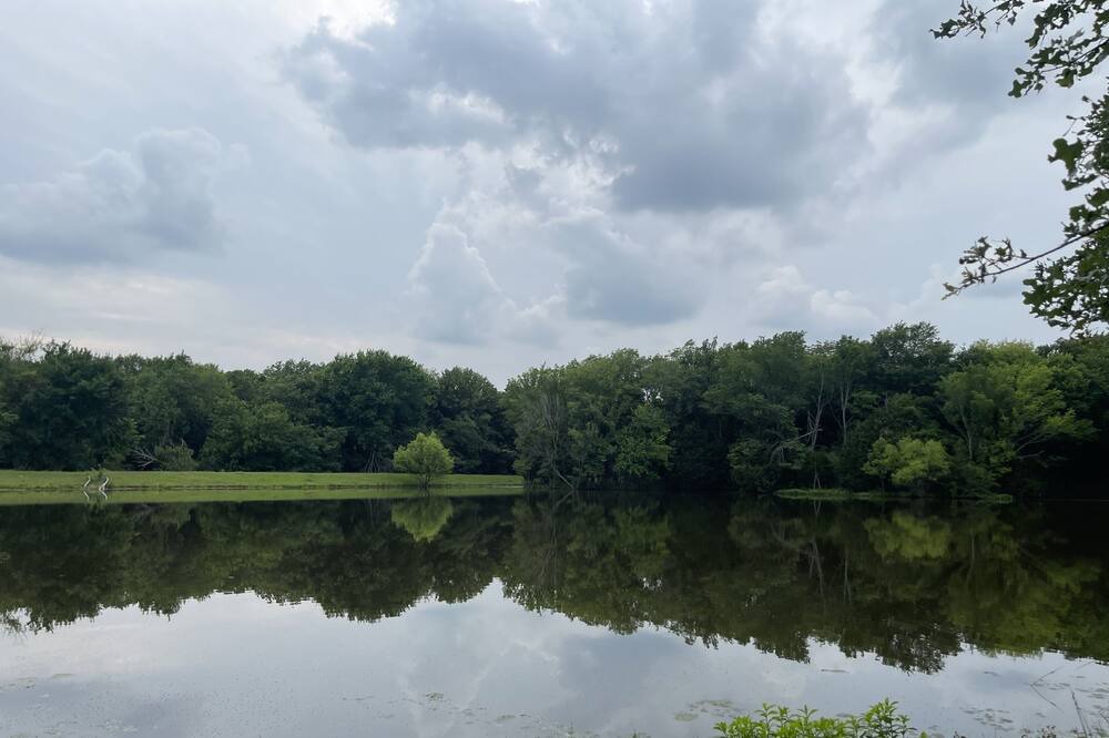 Photo of Outdoor in Elmo