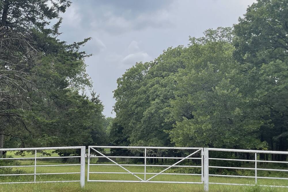 Photo of Outdoor in Elmo