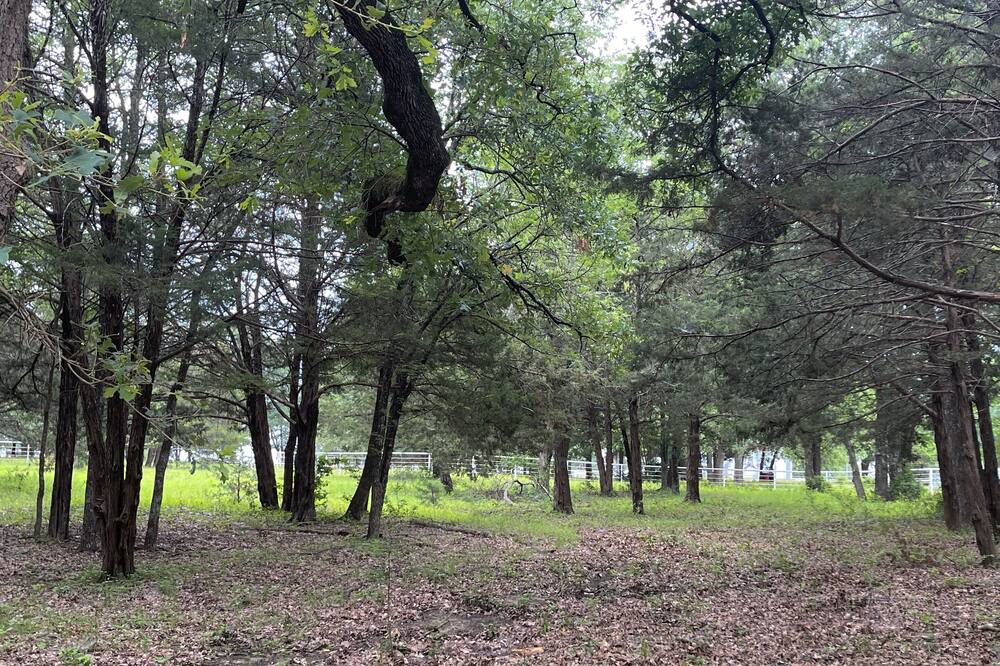 Photo of Outdoor in Elmo