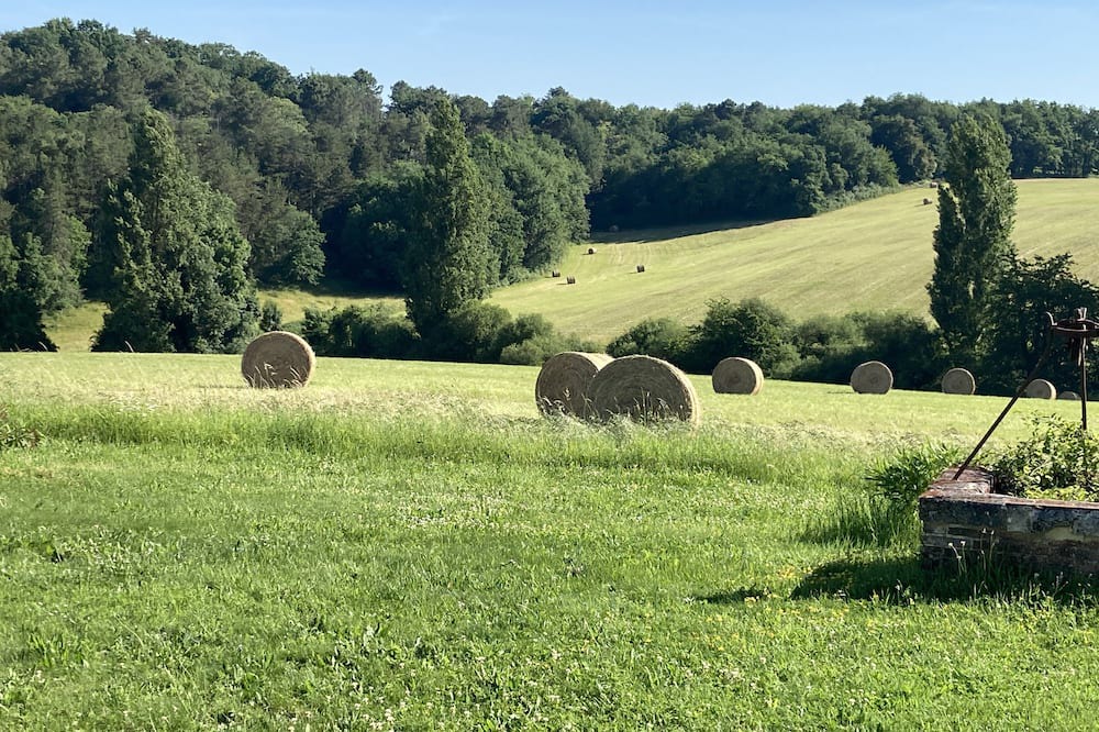 Photo of Outdoor in Juignac
