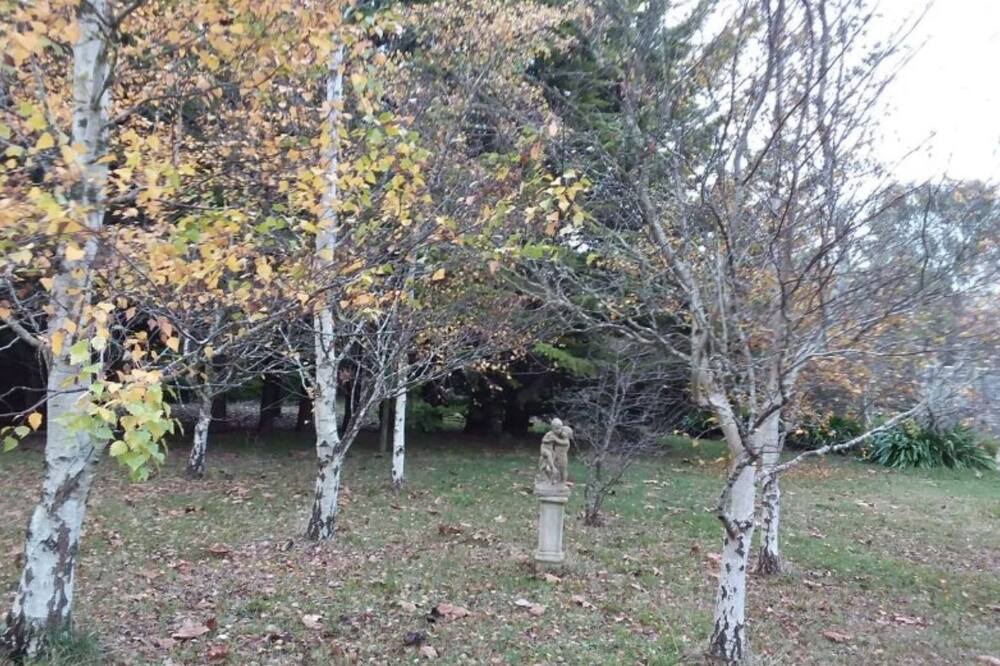 Photo of Outdoor in Woodend North