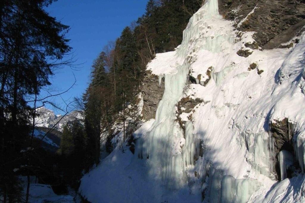 Photo of Outdoor in Weisstannen