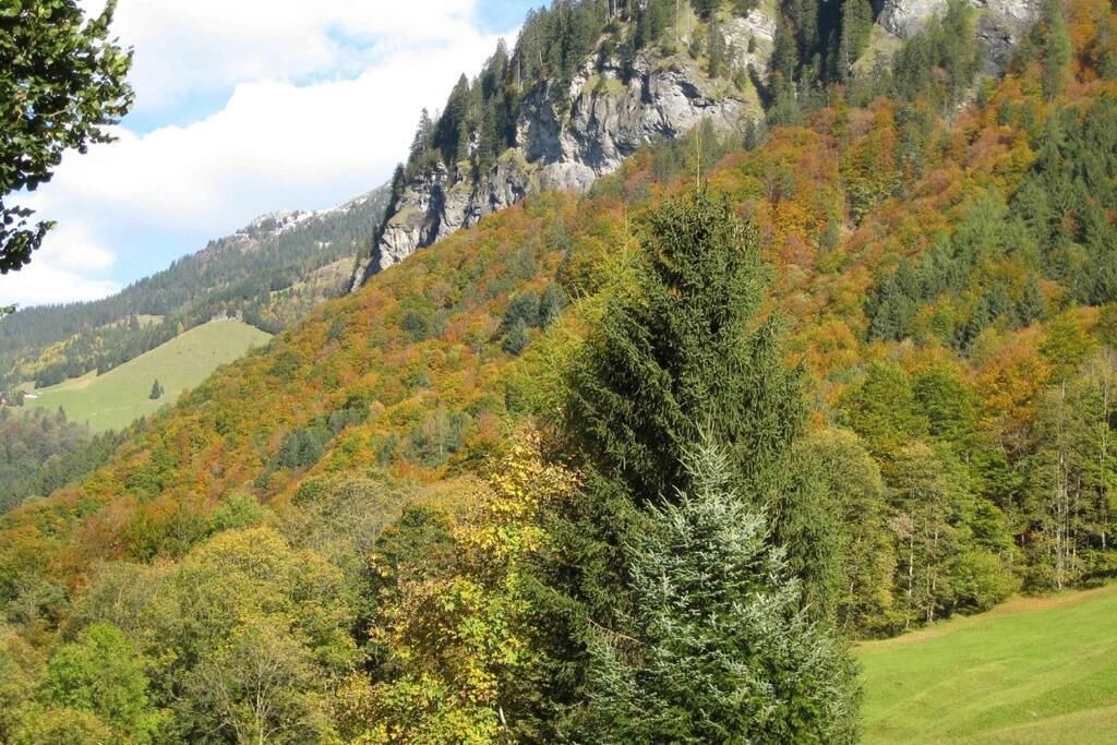 Photo of Others in Weisstannen