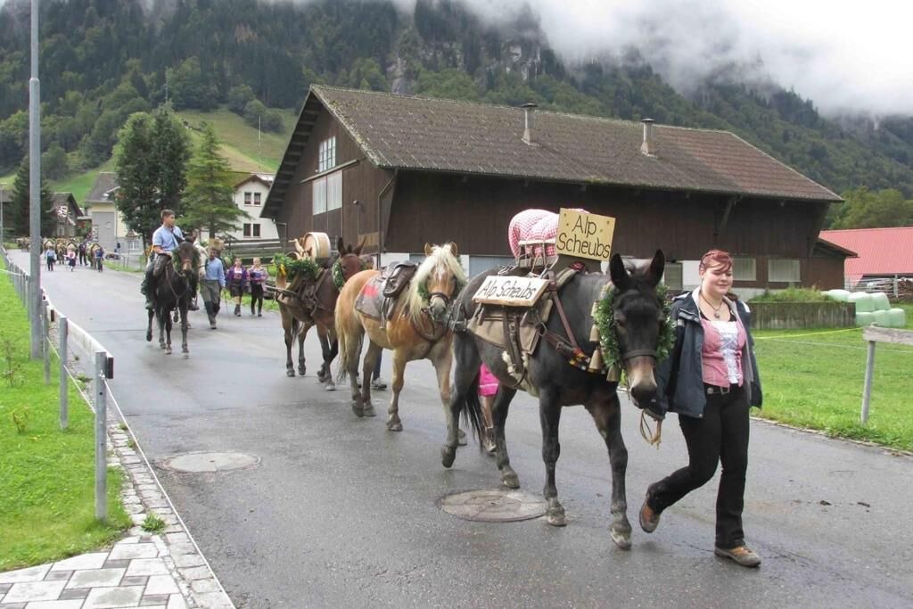 Photo of Others in Weisstannen
