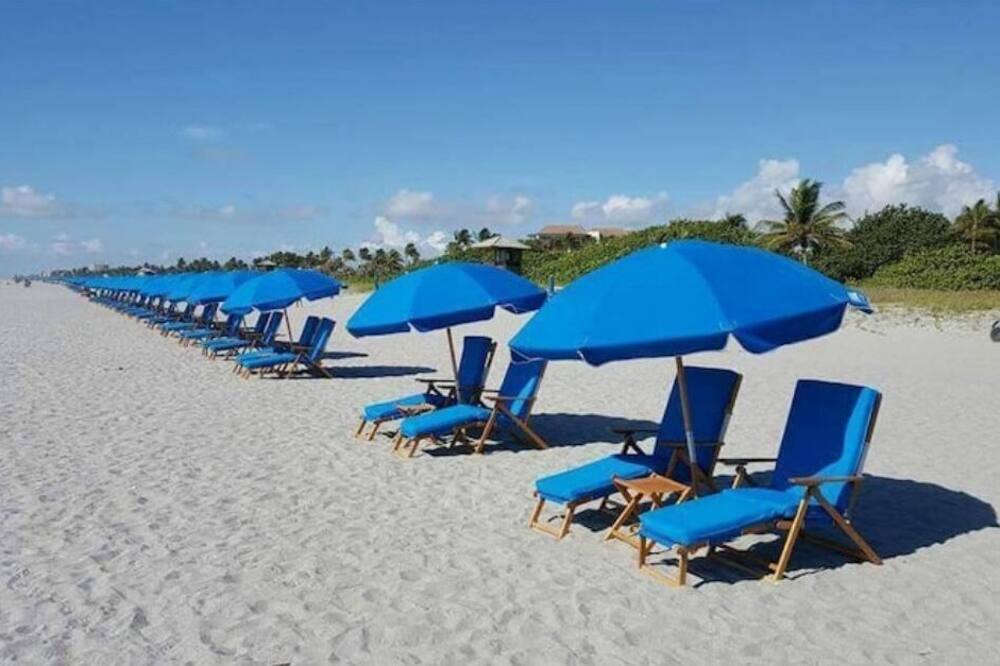 Photo of Others in Tropic Palms
