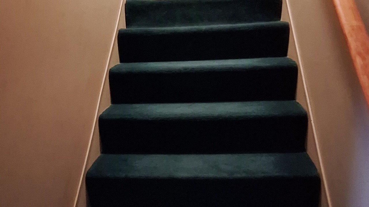 Photo of Others in Kingfield