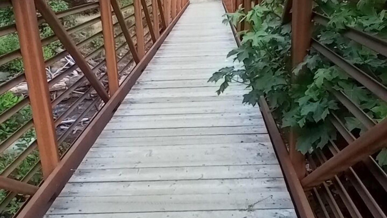 Photo of Others in Roseburg