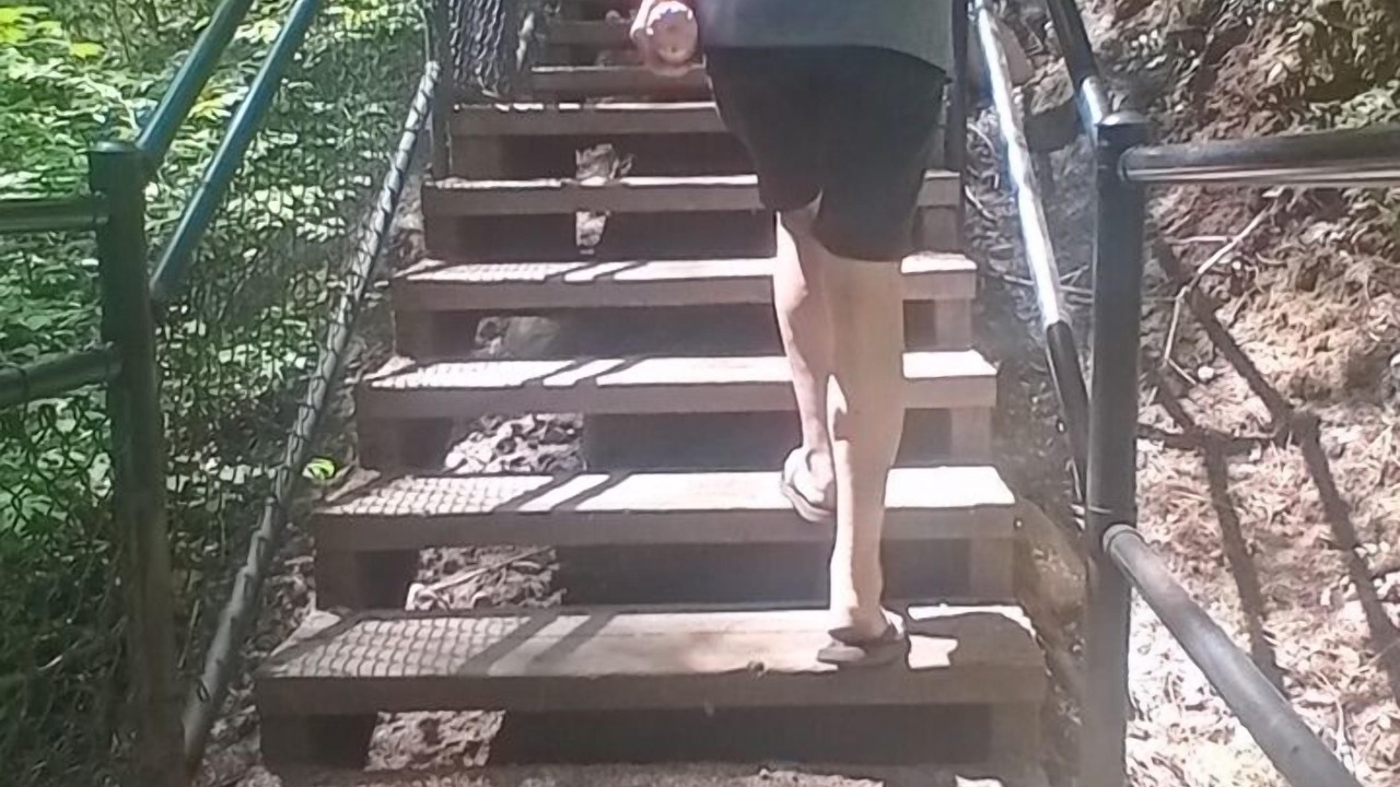 Photo of Others in Roseburg