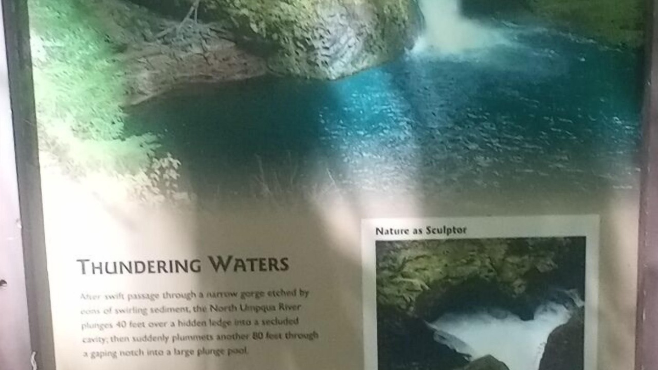 Photo of Others in Roseburg