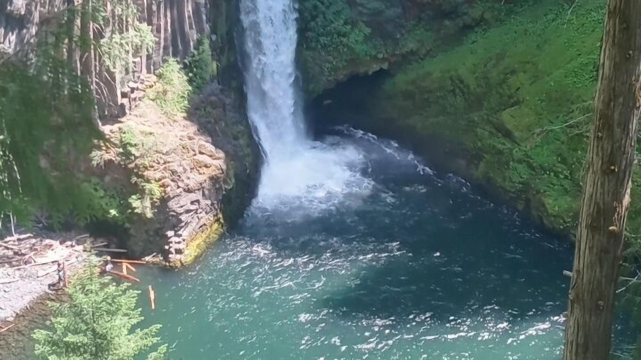 Photo of Others in Roseburg