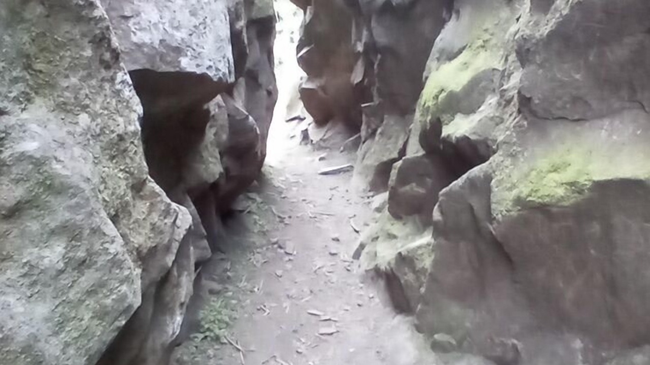 Photo of Others in Roseburg