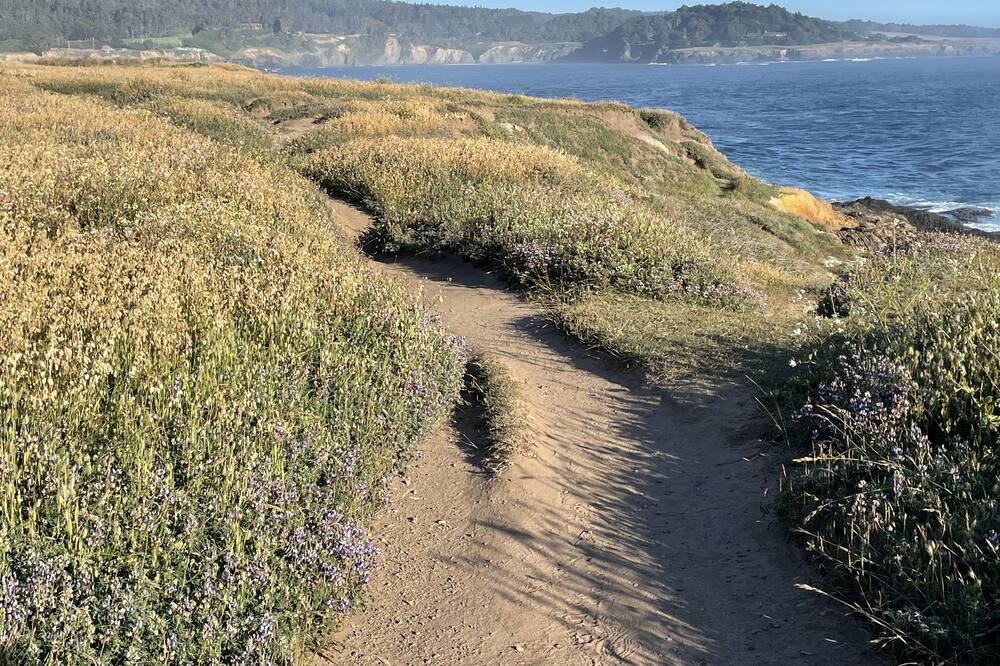 Photo of Others in Mendocino