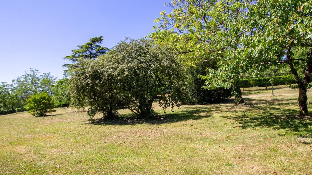 Photo of Outdoor in Saint-Rabier