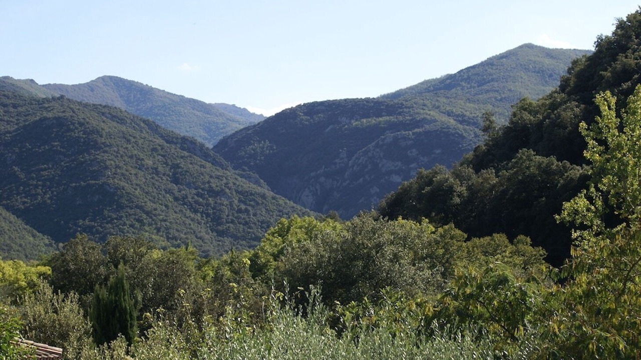 Photo of Outdoor in Reynes