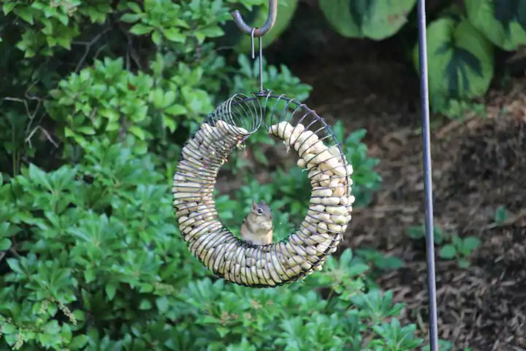 Photo of Outdoor in Rehrersburg