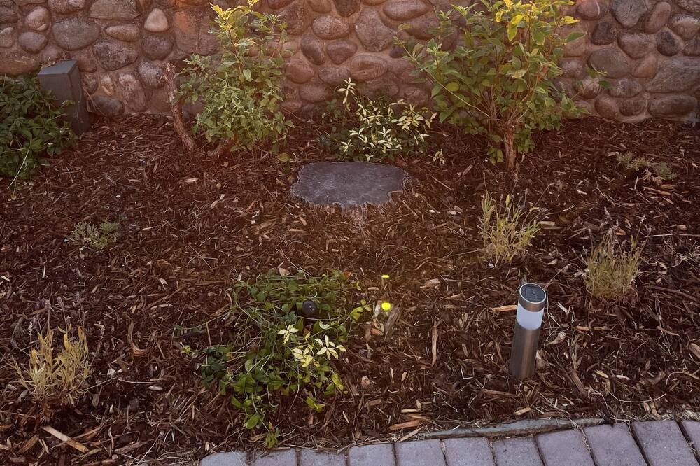 Photo of Others in Point Roberts