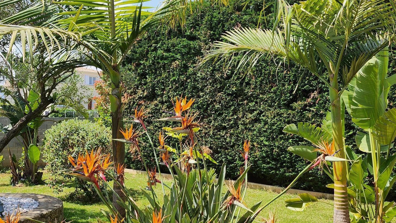 Photo of Outdoor in Furiani