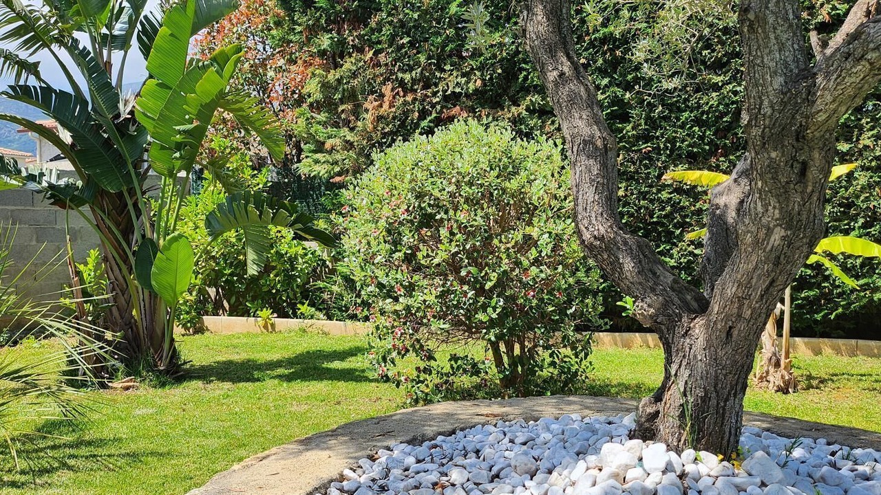 Photo of Outdoor in Furiani