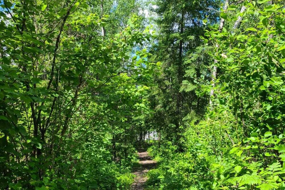 Photo of Outdoor in Lac du Bonnet