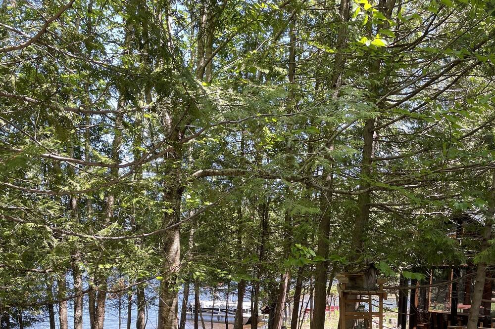 Photo of Outdoor in Wentworth-Nord