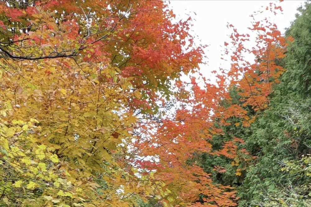 Photo of Outdoor in Caledon