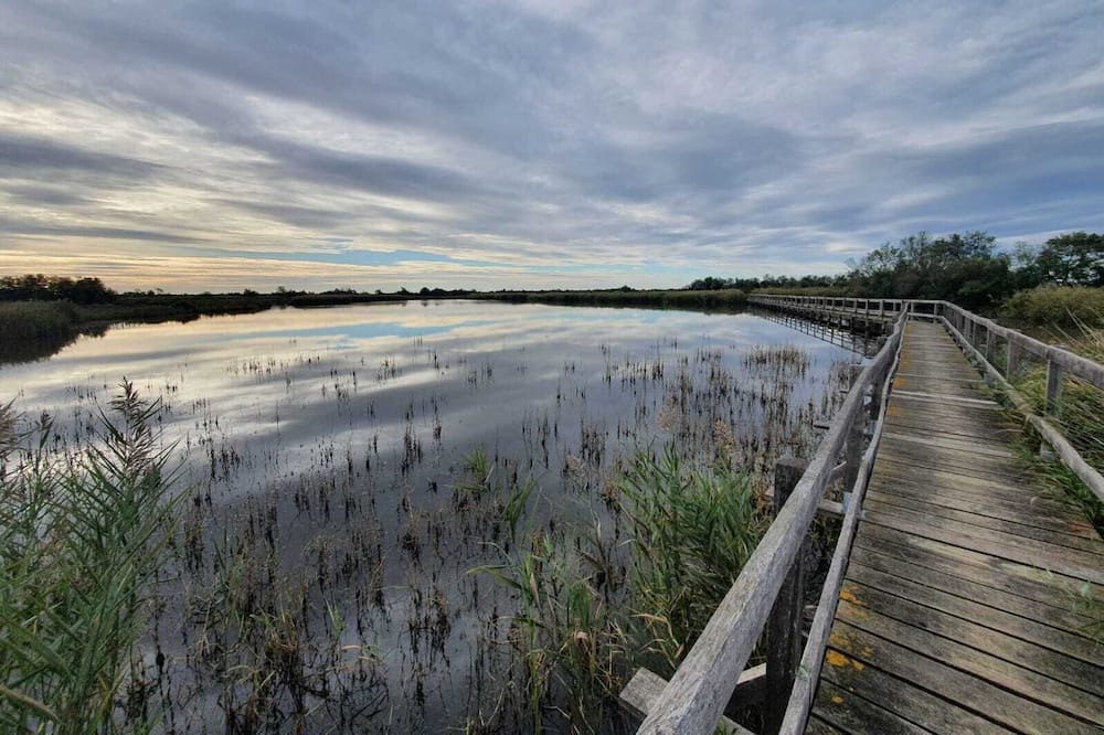 Photo of Outdoor in Candillargues