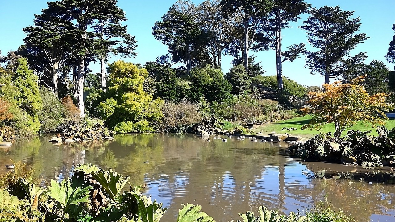 Photo of Others in Tenderloin