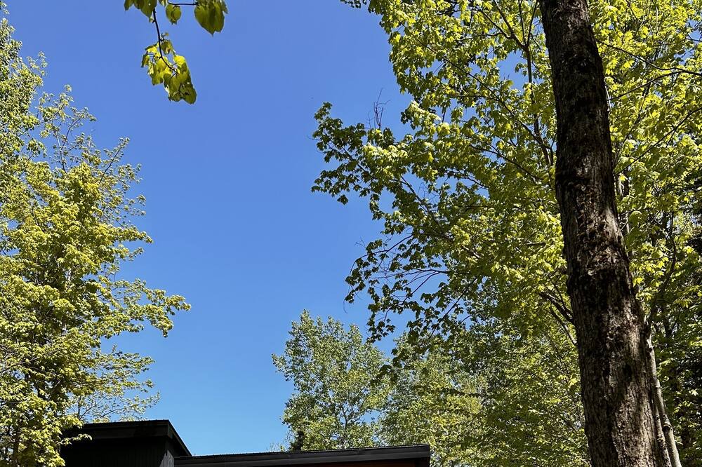 Photo of Outdoor in Eastman