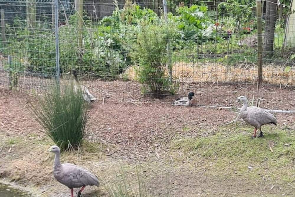 Photo of Others in Muncq-Nieurlet