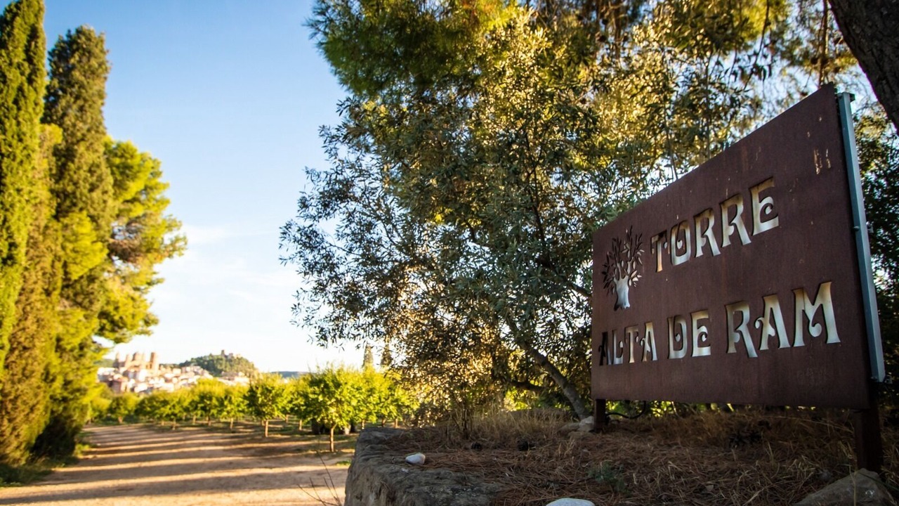 Photo of Outdoor in Alcaniz