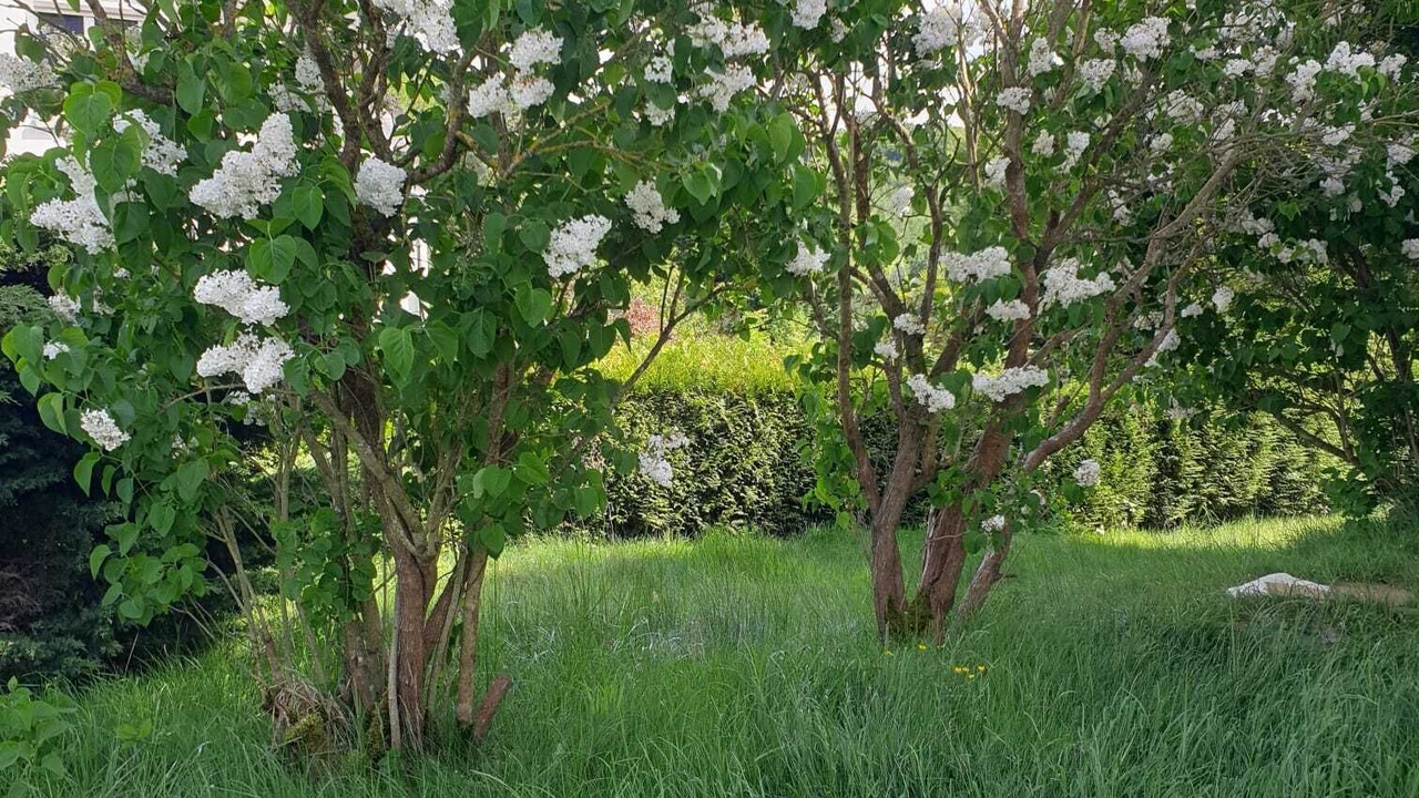 Photo of Outdoor in Savignies