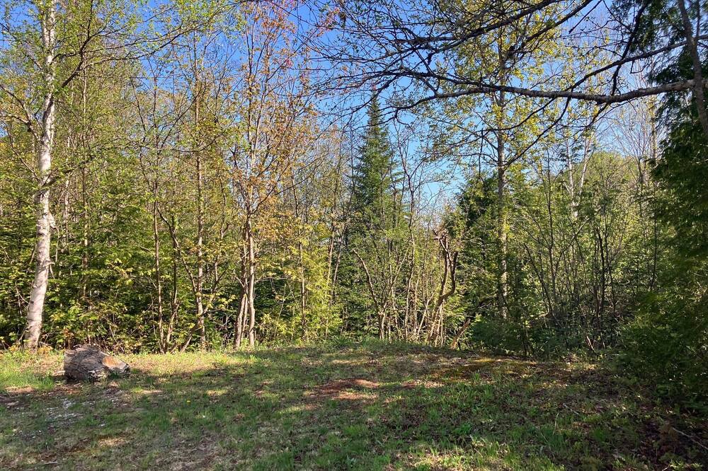 Photo of Outdoor in Notre-Dame-de-la-Merci