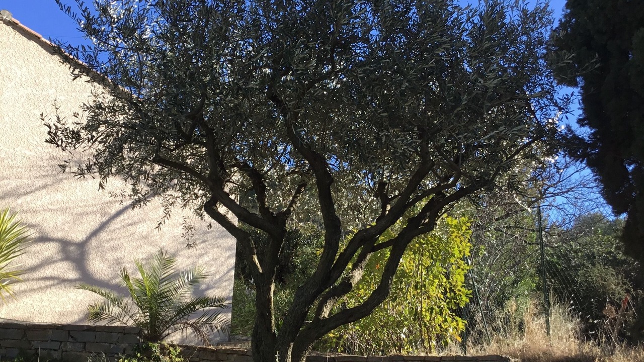 Photo of Outdoor in Grabels