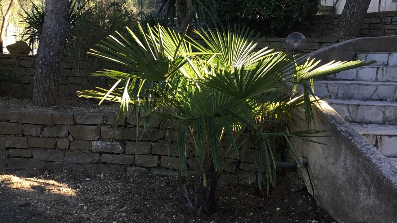 Photo of Outdoor in Grabels