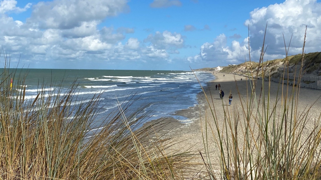 Photo of Others in Belle Dune