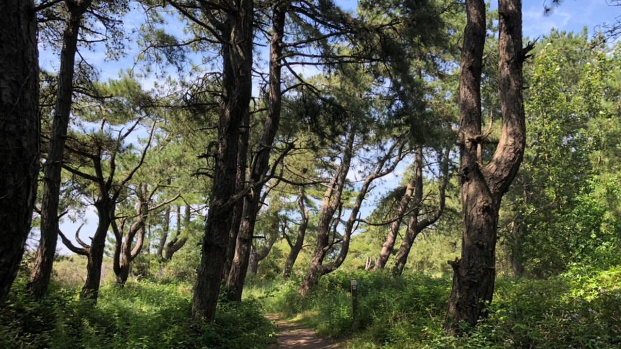 Photo of Outdoor in Belle Dune