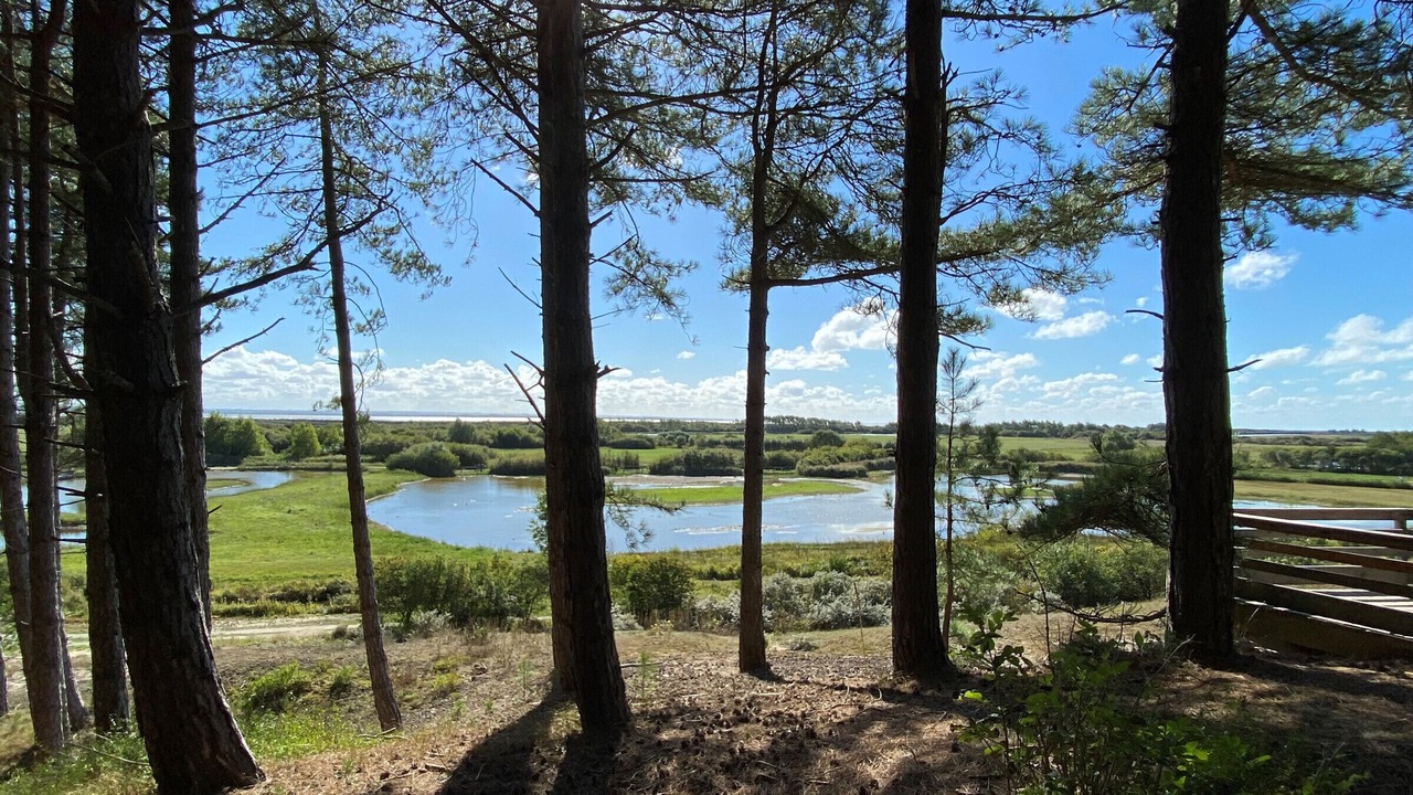 Photo of Outdoor in Belle Dune
